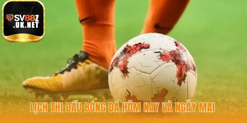 Lịch thi đấu bóng đá cập nhật từng phút đảm bảo độ chính xác